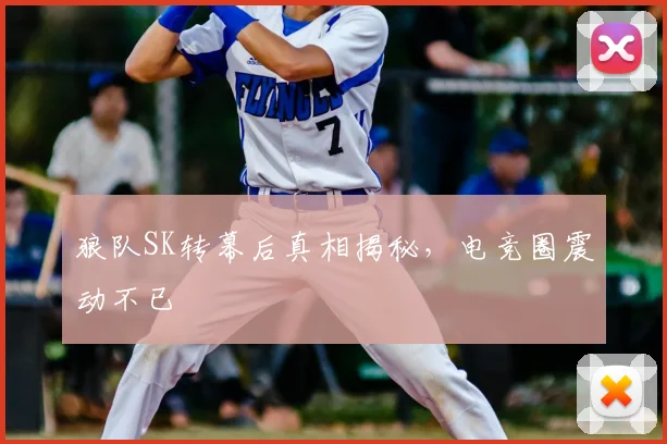 狼队SK转幕后真相揭秘,电竞圈震动不已