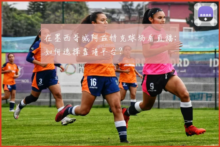 在墨西哥城阿兹特克球场看直播：如何选择靠谱平台？